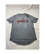 Chicago Blackhawks Mens T-Shirt Champion Gray Heathered Hockey NHL L New - £10.08 GBP
