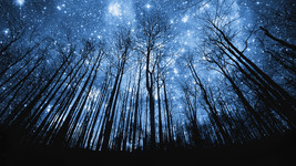 100X Full Coven Overcome Darkness Starry Night Assistance High Magick 102 Witch - £79.65 GBP