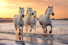 Camargue horses running in the ocean south France ceramic tile mural backsplash - £47.47 GBP+