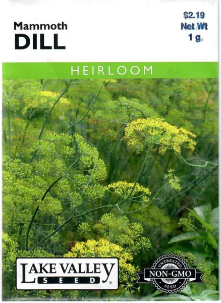 Dill Mammoth Heirloom Herb Seeds Heirloom Non Gmo Lake Valley 12/24 Fresh New - £7.00 GBP