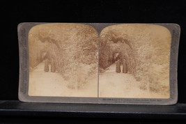 Antique Underwood Stereoview Bowery St Anthony Vatican Gardens Rome Ital... - $19.99