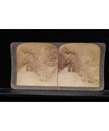 Antique Underwood Stereoview Bowery St Anthony Vatican Gardens Rome Ital... - $27.87 CAD