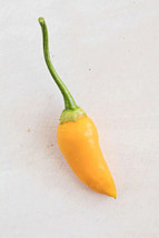 ENIL 25 Seeds Aji Habanero Chili Peppers LARGE Vegetable Edible food hot - £3.32 GBP