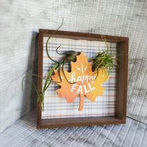 Fall Decor Plaque, live air plants, Wooden shadow box, autumn leaf "Happy Fall" image 5