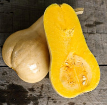 Waltham Butternut Winter Squash Nongmo Organic 15 Seeds Garden Delicious /TsFrom - £6.45 GBP