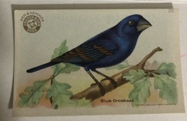 Blue Grosbeak Victorian Trade Card Arm And Hammer VTC 5 - £3.52 GBP