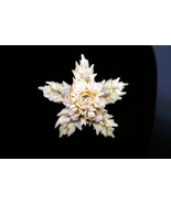 Vtg Mixed Material Artist Made Shell Starfish Brooch W/ Rhinestone Accent - €17,30 EUR Vtg Mixed Material Artist Made Shell Starfish Brooch W/ Rhinestone Accent - €17,30 EUR