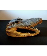 ToyAlligator headfigure 7&quot; unique collectible taxidermy preserved vintage - $818.22 MXN
