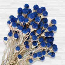 50 Pcs Natural Blue Dried Thistle Flowers Bouquet Bulk Dried Craspedia Billy Bal - £29.54 GBP