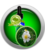 Musk Rose Essential Oil (Rosa Moschata) - $6.00+