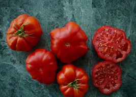 Fresh 50 Seeds Grandma&#39;S Little Girl Tomato Juicy Tomatoe Vegetable Edible Food  - $8.32