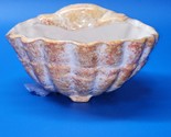 Porcelain Seaside 5” Seashell Nautical Shell Shaped Bowl Neutral - Unkno... - £15.17 GBP