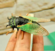 3D CICADA FIGURINE, HALLOWEEN BUG, SMALL GIFT IN BOX FOR KIDS - £11.00 GBP