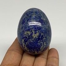 160g, 2.3&quot;x1.6&quot;, Natural Lapis Lazuli Egg Polished, Clearance, B33366 - £24.76 GBP
