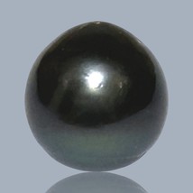 Huge Oval Round 23.2 Carat 14.6 x 15.4mm Peacock Black Tahitian Sea Pearl Loose - £100.72 GBP