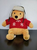 Walt Disney Store Winnie the Pooh with sweater and hat - £10.70 GBP