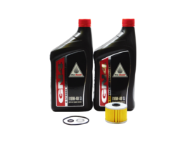 2001-2005 Honda Sportrax 300 TRX300EX EX 2x4 OEM Oil Change Kit H43 - £33.91 GBP