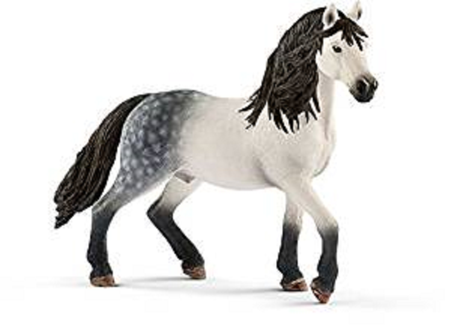Z  Andalusian Stallion 13821 strong tough  Schleich Anywheres a Playground - $14.24