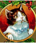 1910 Embossed Christmas Postcard Kitten Cat With a Bowtie - $412.83 MXN