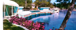 Weeki Wachee Spring Florida Postcard Underwater Theater Mermaids Show Chrome - £9.84 GBP