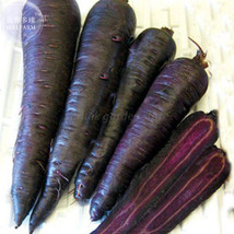 PWO Fresh Carrot - Purple Sun F1 Seeds, 500 Seeds, Professional Pack, Organic Ta - $5.18