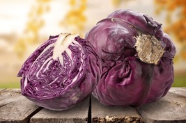 100 Seeds Red Chinese Cabbage - $10.00