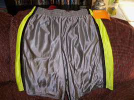 Champion Gray/Green Shorts Size XL ( 16-18) Boy&#39;s NEW - $15.54