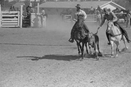 Bulldogging by Arthur Rothstein #4 - Art Print - £17.20 GBP+