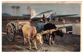 Ox Cart &amp; American Airlines Flagship Airplane on Tarmac Postcard 1946 - £7.76 GBP