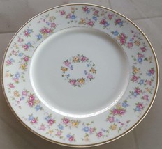 Beautiful Vintage Lamberton China - Reverie Pattern - Luncheon Plate - VGC - £11.83 GBP