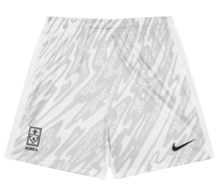 Nike Korea Dri-Fit GK Shorts Men's Soccer Shorts Asia-Fit Gray NWT FJ131... - $62.91