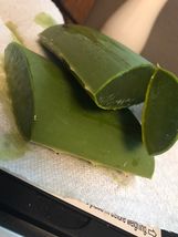 1/2 Pound  (8 Onz) Organic  ALOE VERA Fresh Leafs Medicinal Uses All Nat... - $14.39