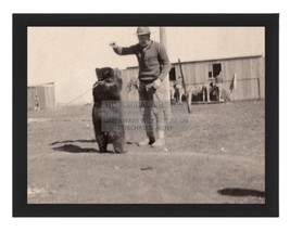 SAMMIE THE BEAR WW2 SOLDIERS MASCOT WAR BONDS COMCIAL 8X10 FRAMED PHOTO - £19.33 GBP