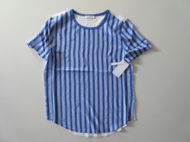 NWT Equipment Riley in Amp Blue Stripe White Contrast Back Relaxed Silk Shirt XS - £34.26 GBP