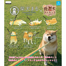 Japanese Shiba Inu MARU × Kyohiken Mascot Keychain Collection - £11.07 GBP+