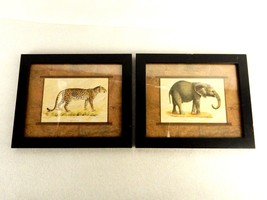 Set of 2 Framed Animal Litho Prints, Leopard and Baby Elephant, Karl Brodtmann - £30.78 GBP