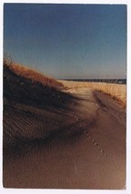 Postcard Myrtle Beach South Carolina Sand Dunes &amp; Surf Myrtle Beach Stat... - $2.85