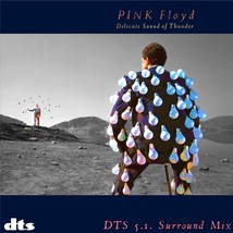 Pink Floyd - Delicate Sound Of Thunder [DTS-2-CD]  5.1 Surround - Money  Time  W - £15.62 GBP