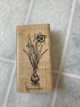 Vintage Stampin Up Bulbs in Bloom Stamp 1999 Daffodil FLOWERING BULB CHR... - $9.49