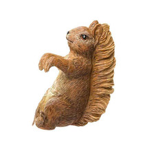 Jardinopia Beatrix Potter Pot Buddies - Squirrel Nutkin - £26.28 GBP
