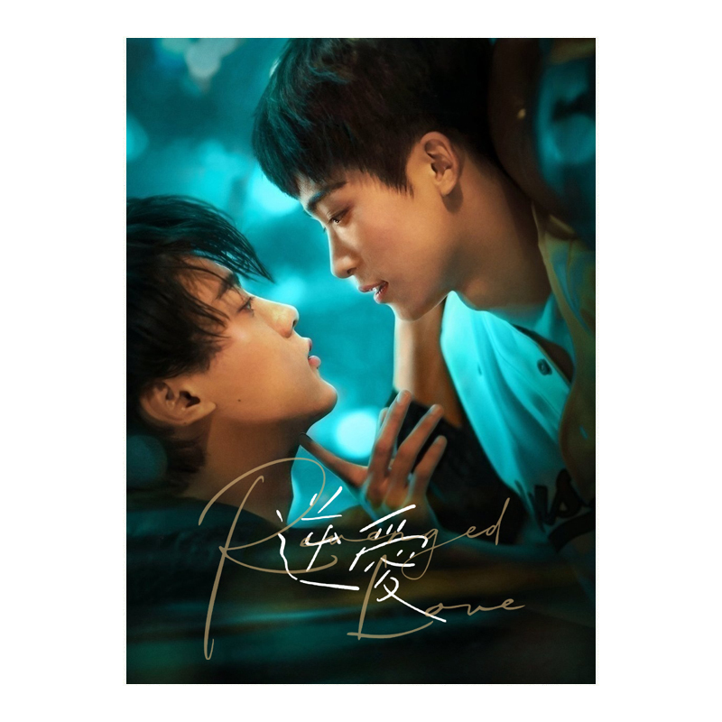 Revenged Love (2025) Chinese BL Drama - $69.00