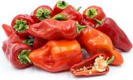 New Fresh 25 Seeds Paprika Chile Pepper Garden Vegetables Planting - $7.00
