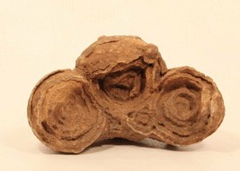 Moroccan stromatolite fossil - £157.45 GBP
