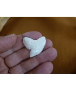 (s5-72) 1-1/4&quot; inch modern White TIGER SHARK TOOTH teeth made to order p... - $47.73 CAD