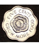 Seychelles 5 Cent FAO,1972 Gemstone UNC ~ Cabbage Head ~ Fantastic ~1st ... - $3.72