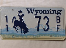 VINTAGE WYOMING LICENSE PLATES (PAIR)  NO LONGER IN USE-  PARK COUNTY 11... - $18.00