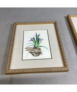 Floral Crocus Bioprint Picture In Frame By Suzanne Craig - 11.8.75” - $363.02 MXN
