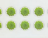 2017 Sheet of 10 stamps Global Green Succulent Buy now at good old smoke... - $10.89
