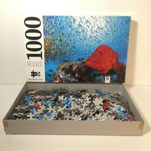 Fish Undersea Underwater Aquatic Bright Deep Sea 1000 Pc Jigsaw Puzzle Hinkler  - £18.27 GBP
