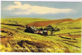 United Kingdom UK Postcard Haworth Top Withens Wuthering Heights - £1.74 GBP